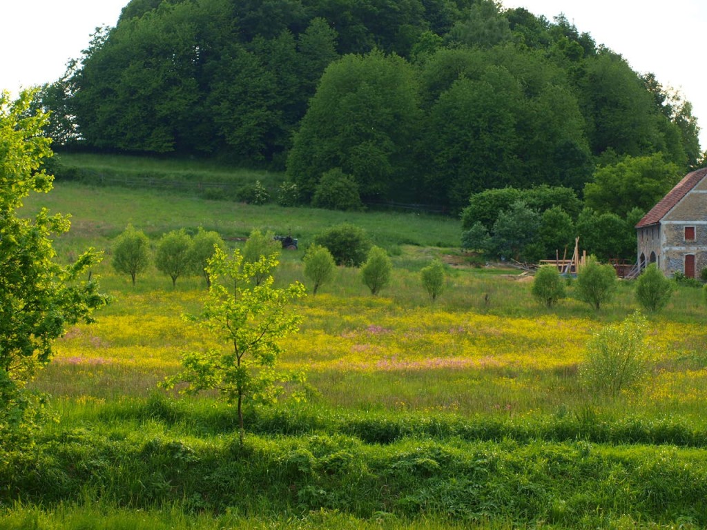 Tajemniczy Dolny Śląsk. Szachulec.