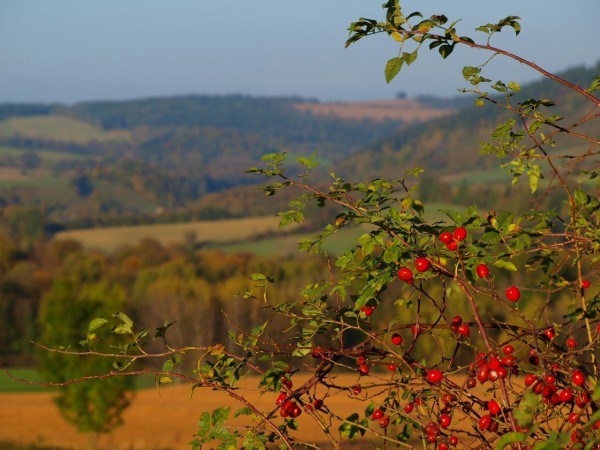 agroturystyka dolny śląsk